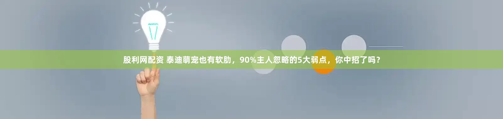 股利网配资 泰迪萌宠也有软肋，90%主人忽略的5大弱点，你中招了吗？