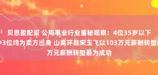 贝思盈配资 公用事业行业董秘观察：4位35岁以下的董秘中3位均为卖方出身 山高环能宋玉飞以103万元薪酬转型最为成功