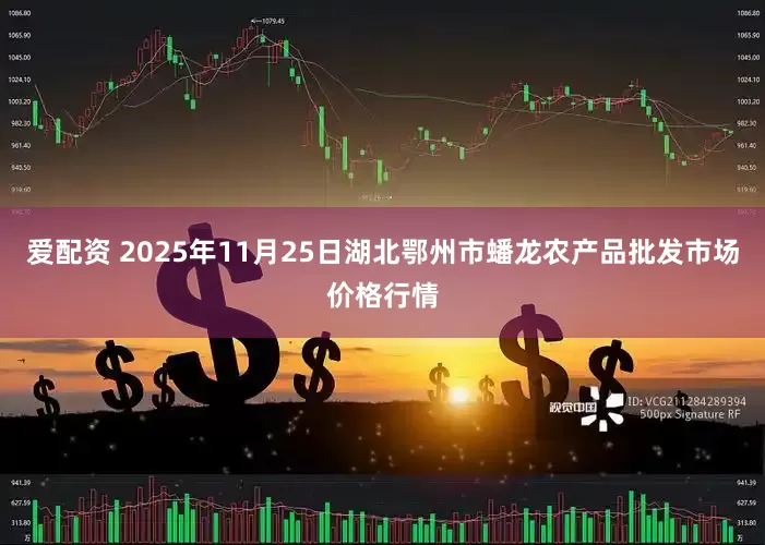 爱配资 2025年11月25日湖北鄂州市蟠龙农产品批发市场价格行情
